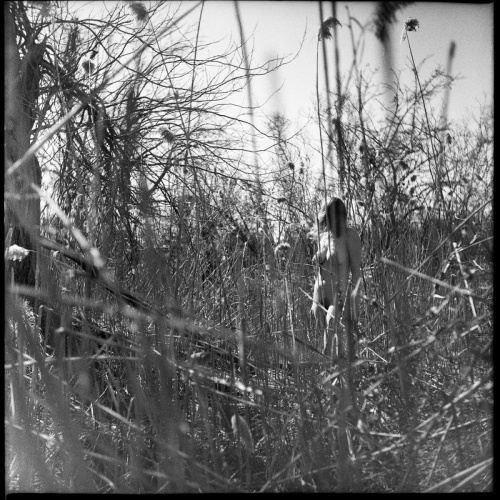 Sofija in the reeds, March 2021